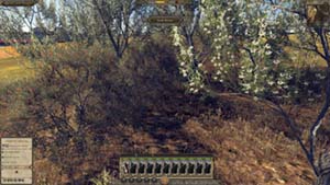 NbNĊg
