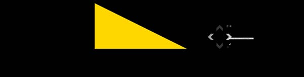 NbNĊg