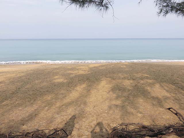 NbNĊg