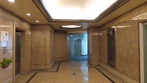 NbNĊg
