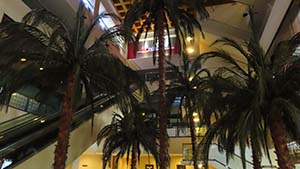 NbNĊg