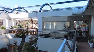 NbNĊg