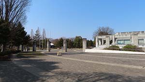 NbNĊg
