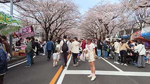 クリックして拡大