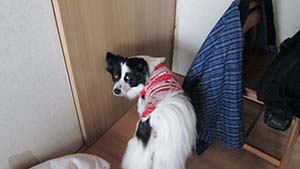 �N���b�N���Ċg��