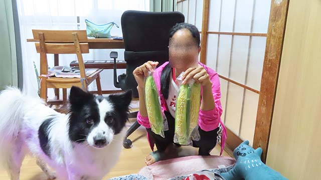 �N���b�N���Ċg��