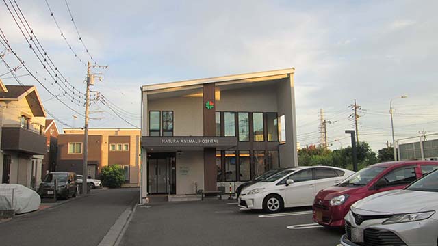 �N���b�N���Ċg��