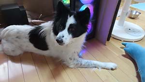 �N���b�N���Ċg��