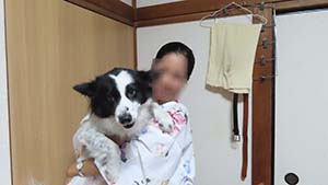 �N���b�N���Ċg��