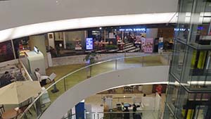 NbNĊg