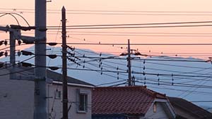 NbNĊg
