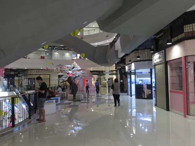 NbNĊg