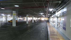 NbNĊg