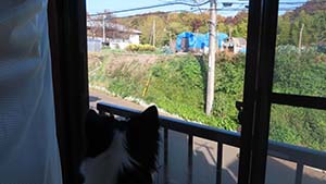 クリックして拡大
