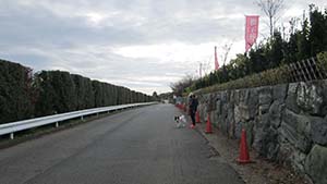NbNĊg