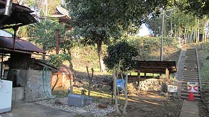 NbNĊg