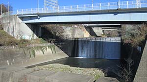 NbNĊg