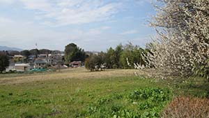 NbNĊg