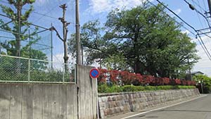NbNĊg