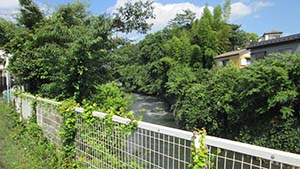 NbNĊg