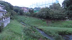 NbNĊg