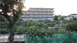 NbNĊg