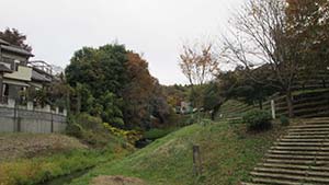 NbNĊg