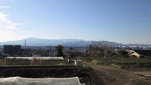 NbNĊg