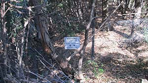 NbNĊg