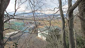 NbNĊg