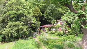 クリックして拡大