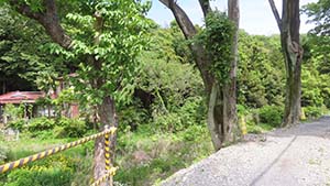 クリックして拡大