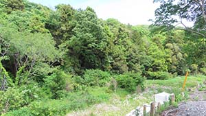 クリックして拡大