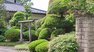 クリックして拡大