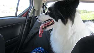 �N���b�N���Ċg��