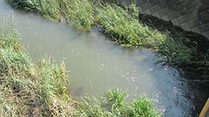 �N���b�N���Ċg��