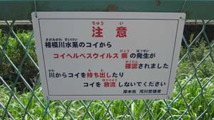 �N���b�N���Ċg��