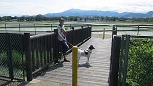 �N���b�N���Ċg��