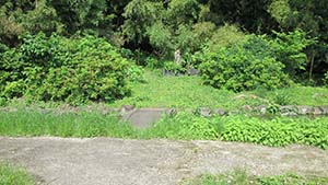 �N���b�N���Ċg��