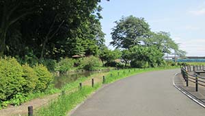 クリックして拡大