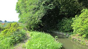 �N���b�N���Ċg��