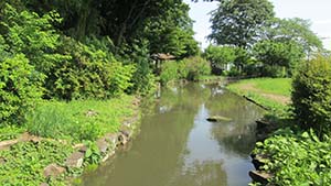 �N���b�N���Ċg��