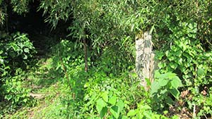 �N���b�N���Ċg��