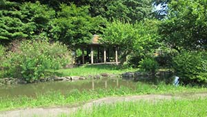 �N���b�N���Ċg��