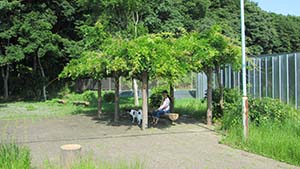 �N���b�N���Ċg��