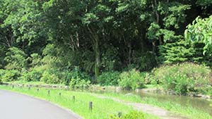 �N���b�N���Ċg��