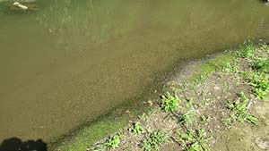 �N���b�N���Ċg��