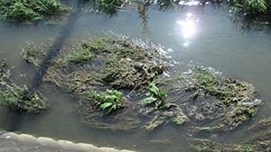 �N���b�N���Ċg��