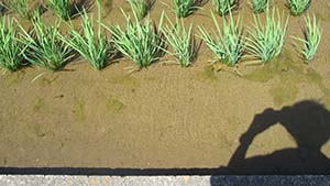 �N���b�N���Ċg��