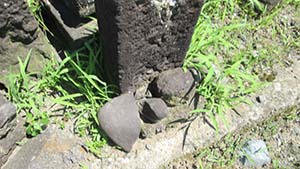 �N���b�N���Ċg��